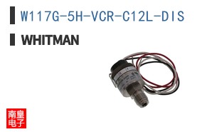 W117G-5H-VCR-C12L-DIS ͼƬ